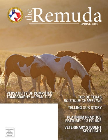 TEVA - 2023 Spring Remuda Sale