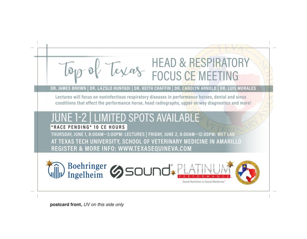 TEVA - Top of Texas Postcard