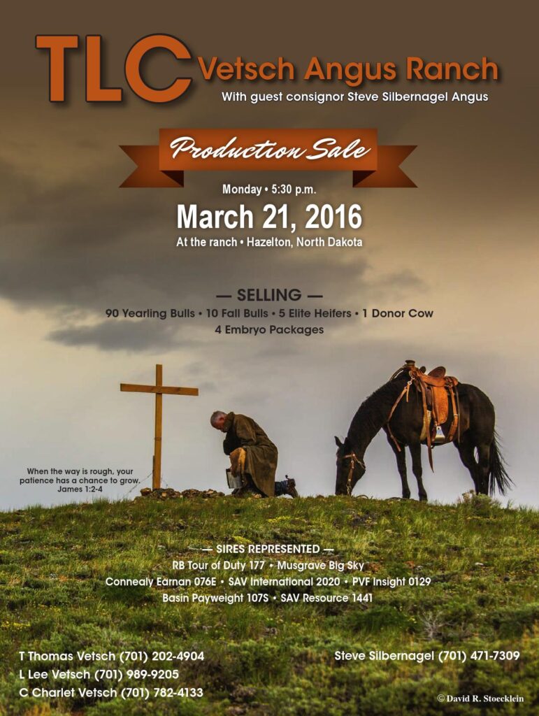 TLC Vetsch Angus Ranch - 2016 Production Sale