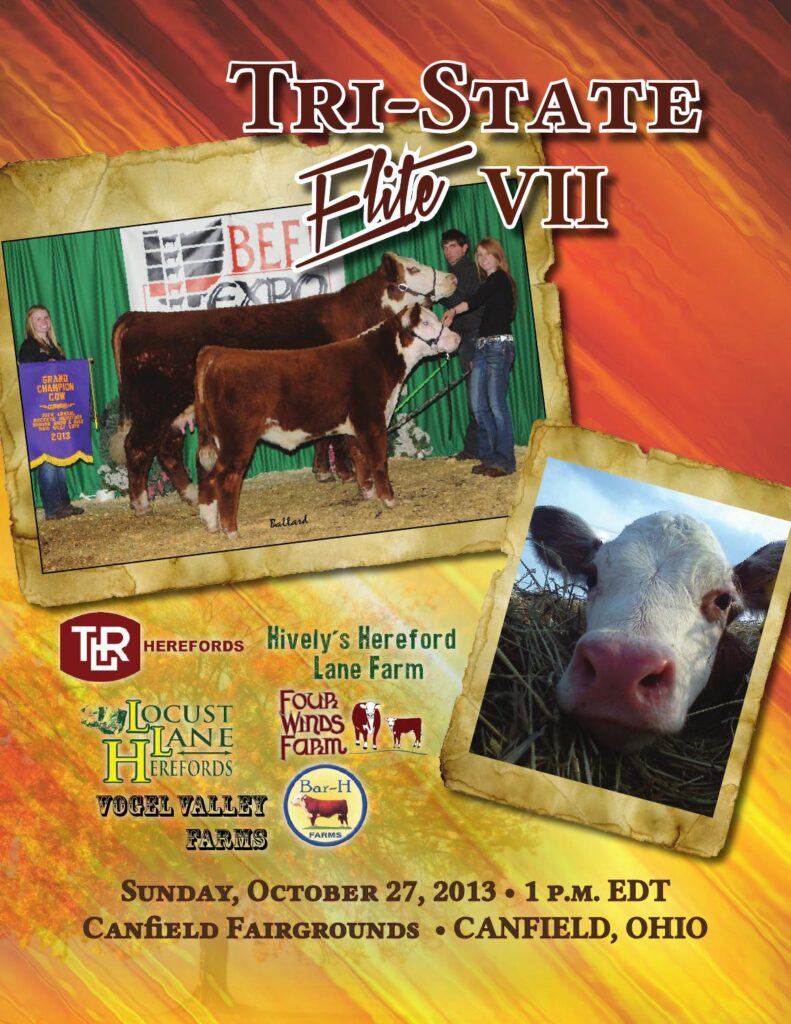 TLR Herefords - Tri State Elite Sale, Vol. VII