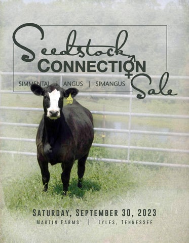 TN Seedstock Connection - 2023 Seedstock Connection Sale