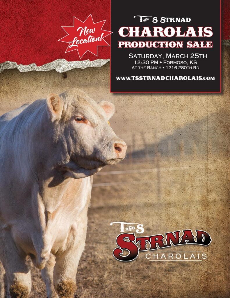 T&S Strnad Charolais - 2017 Production Sale