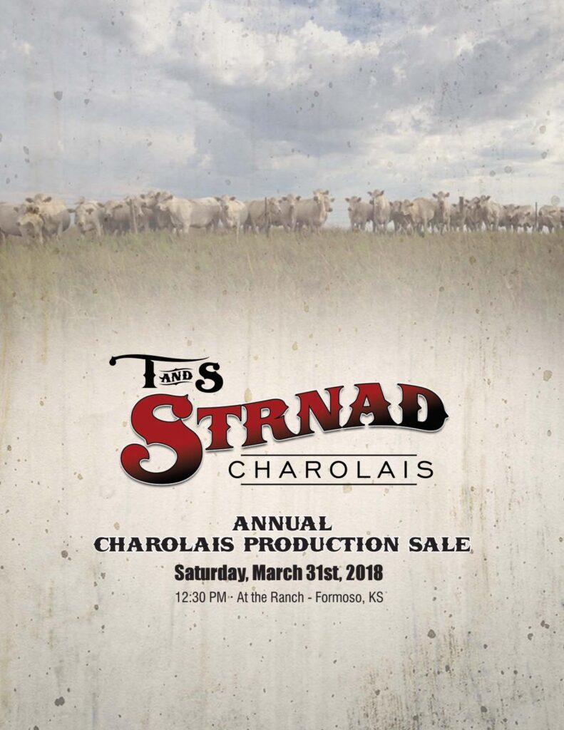 T&S Strnad Charolais - 2018 Bull Sale