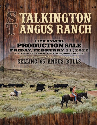 Talkington Angus Ranch - 2022 Spring Sale