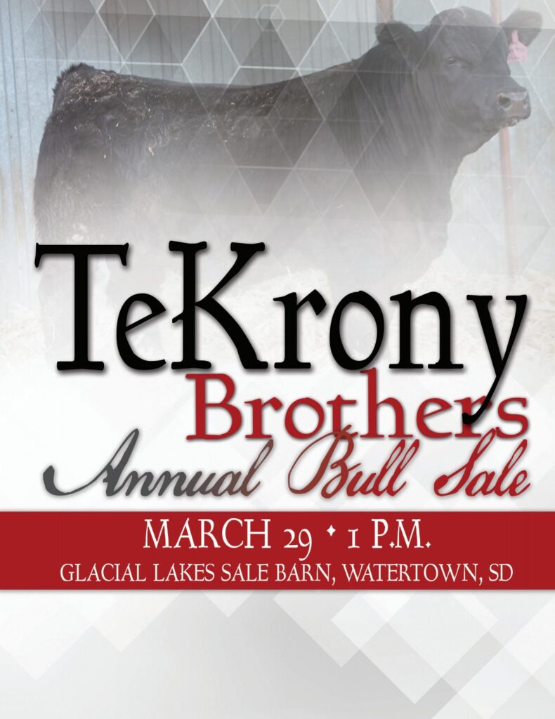TeKrony Brothers - 2019 Bull Sale
