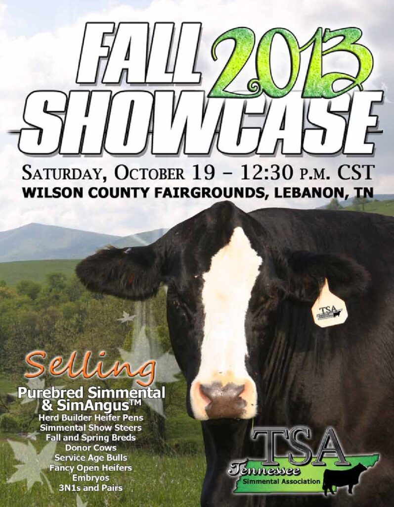 Tennesse Simmental Association - 2013 Fall Showcase Sale