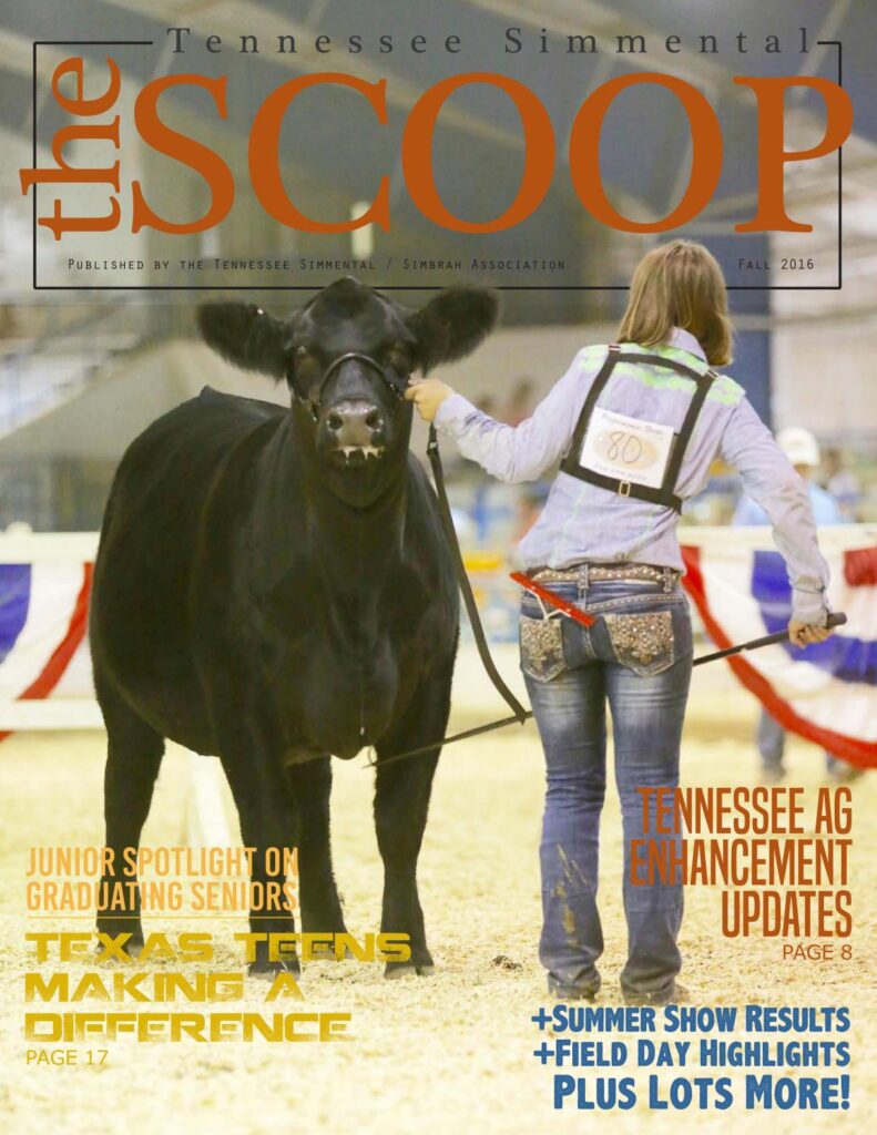 Tennessee Simmental Scoop - Fall 2016 Edition