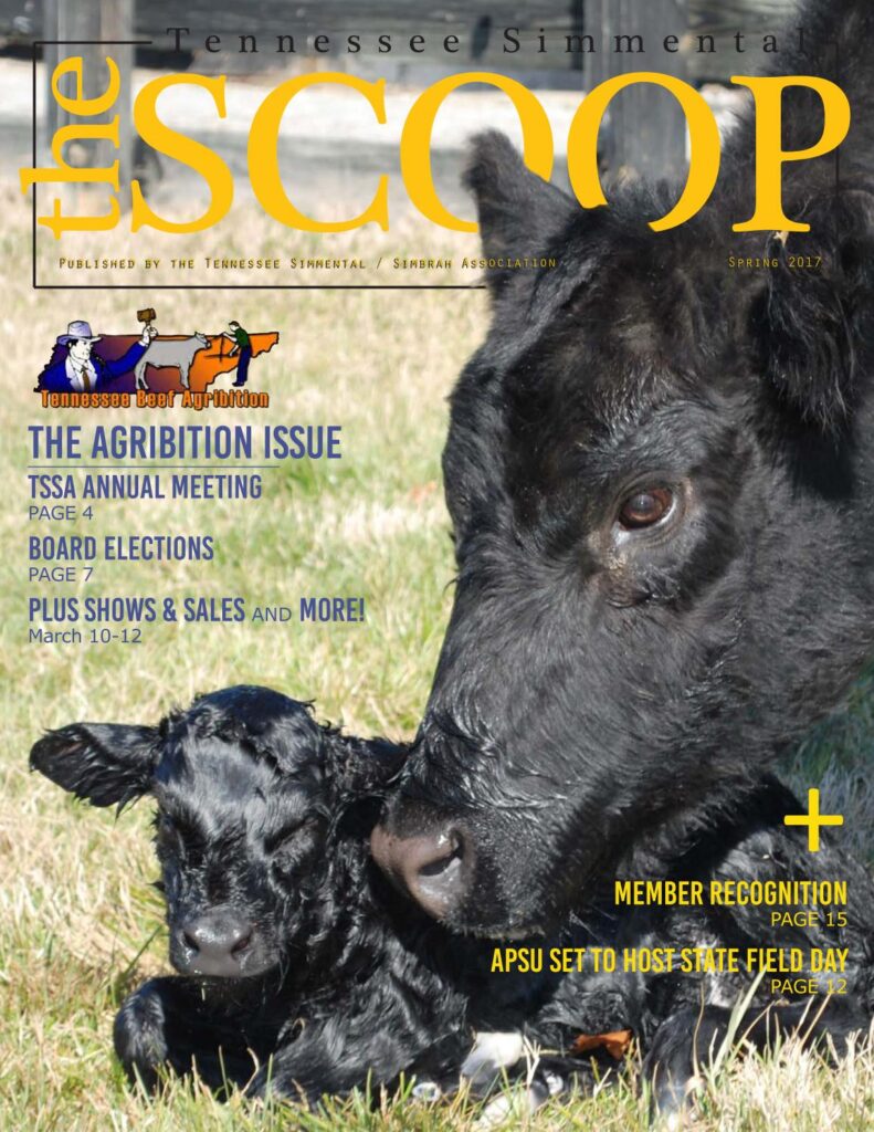 Tennessee Simmental Scoop - Spring 2017 Edition
