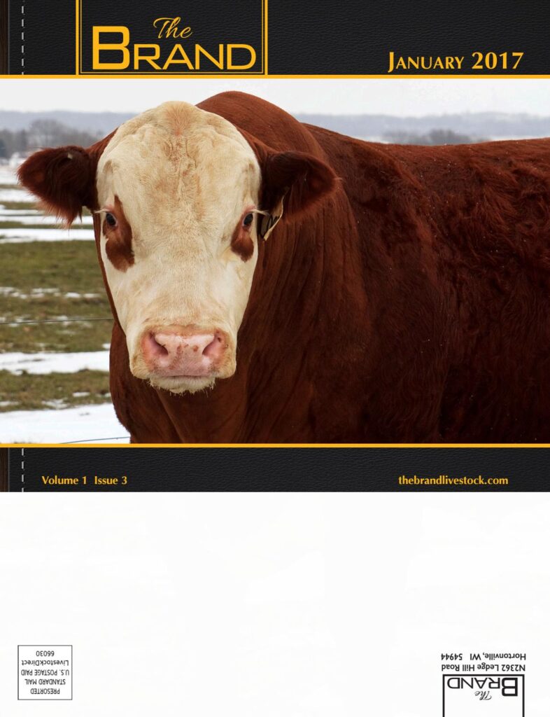 The Brand - Janurary 2017 Edition