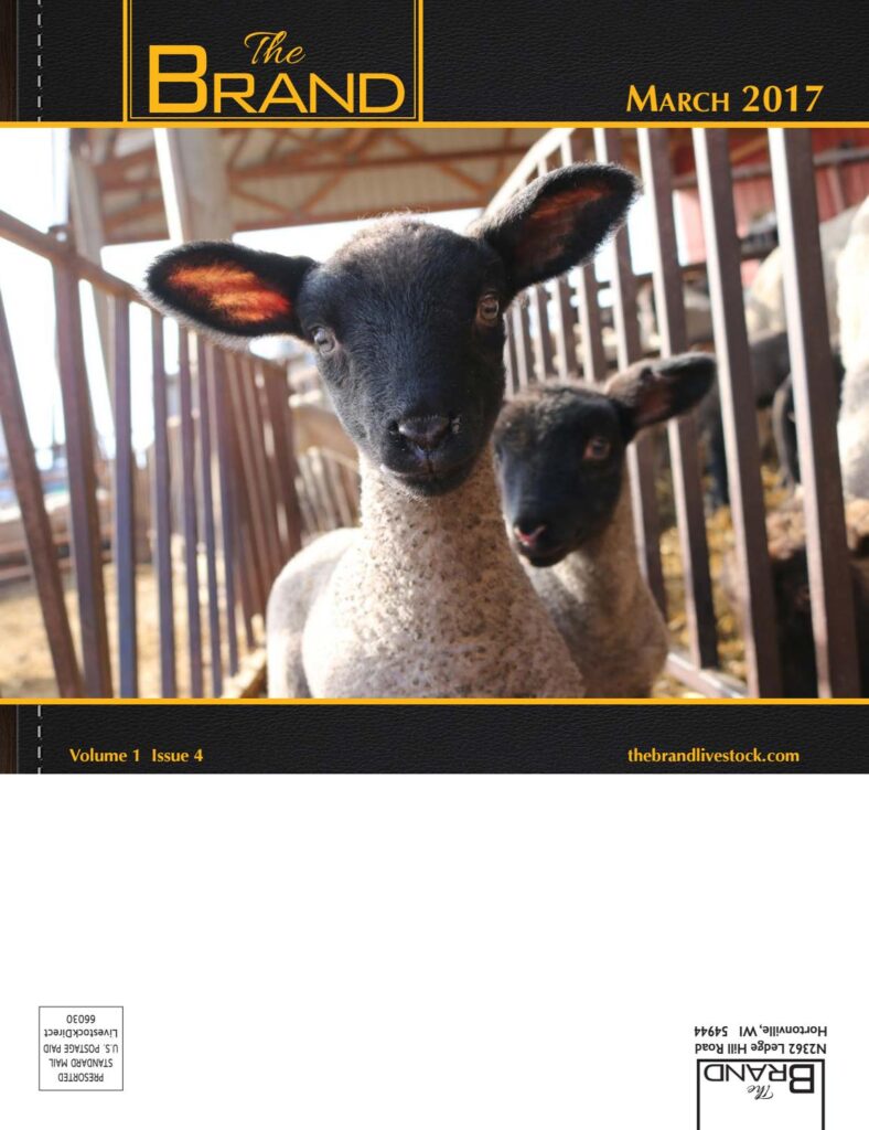 The Brand Magazine - March 2017 Edition