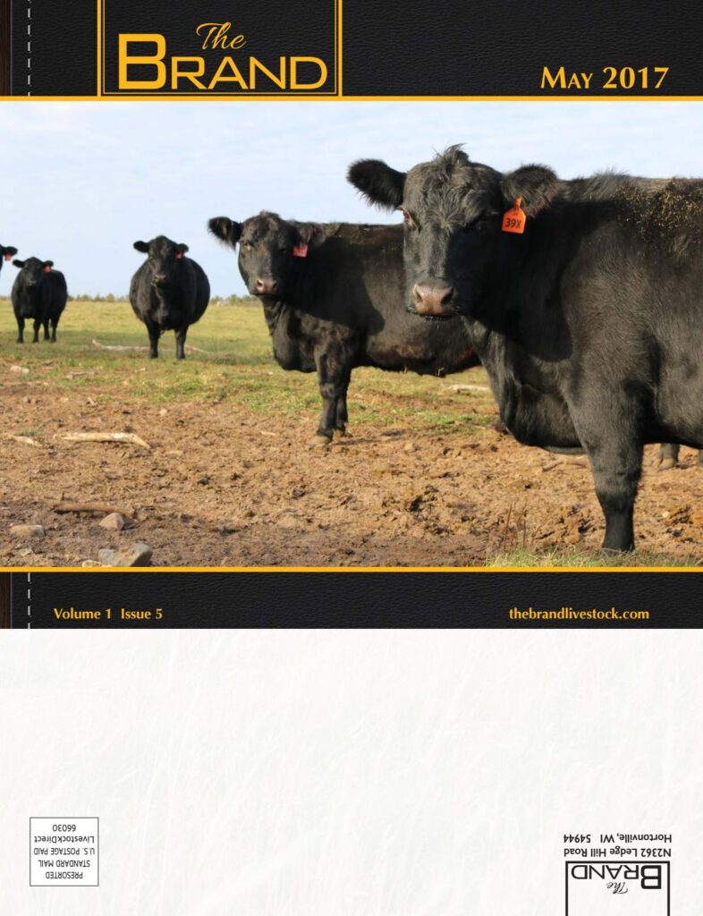 The Brand Magazine - May 2017 Edition