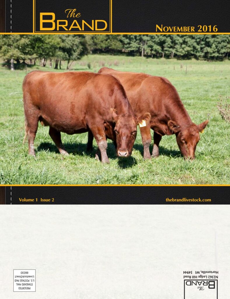 The Brand - November 2016 Edition