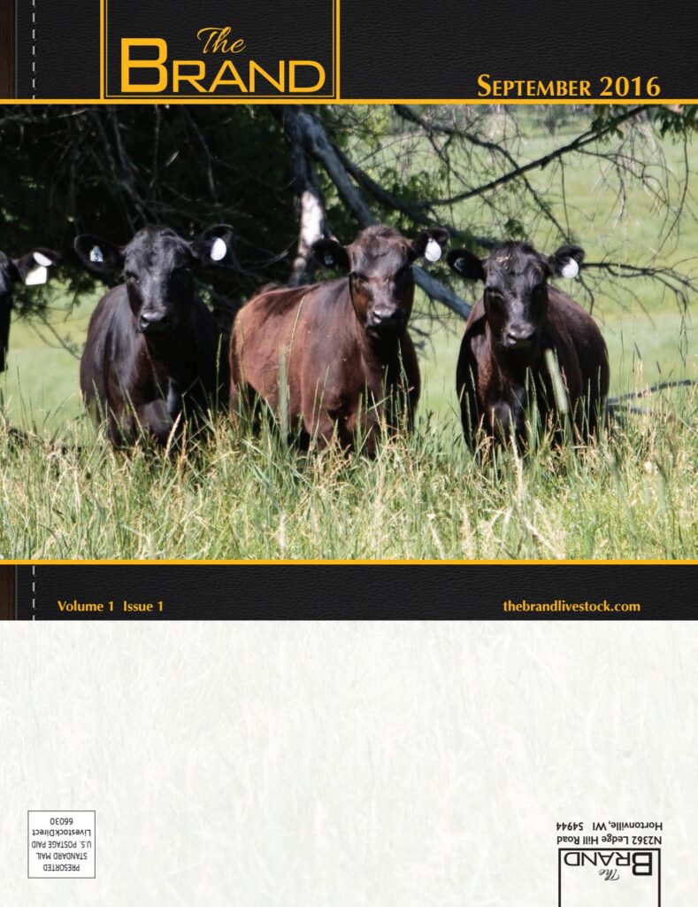 The Brand - September 2016