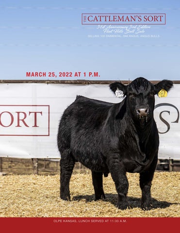 The Cattlemans Sort - 2022 Sale