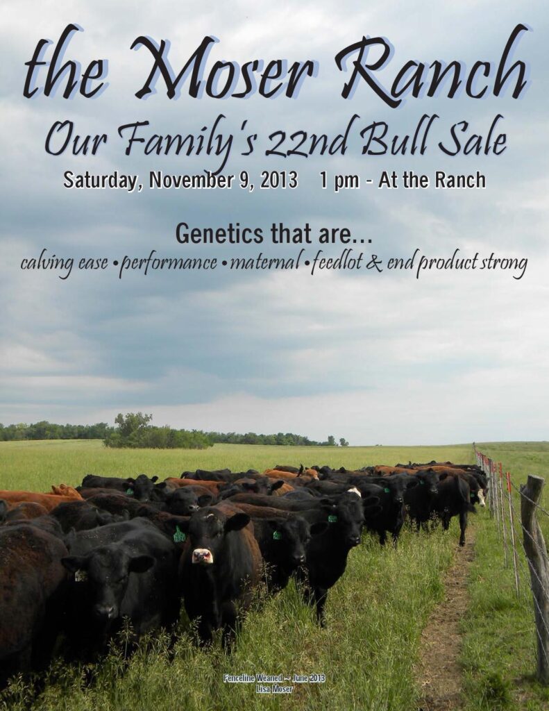 The Moser Ranch - 22nd Annual Bull Sale
