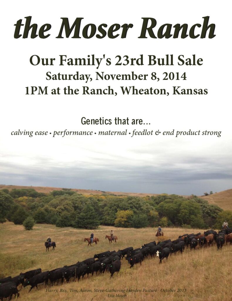 The Moser Ranch - 23rd Annual Bull Sale