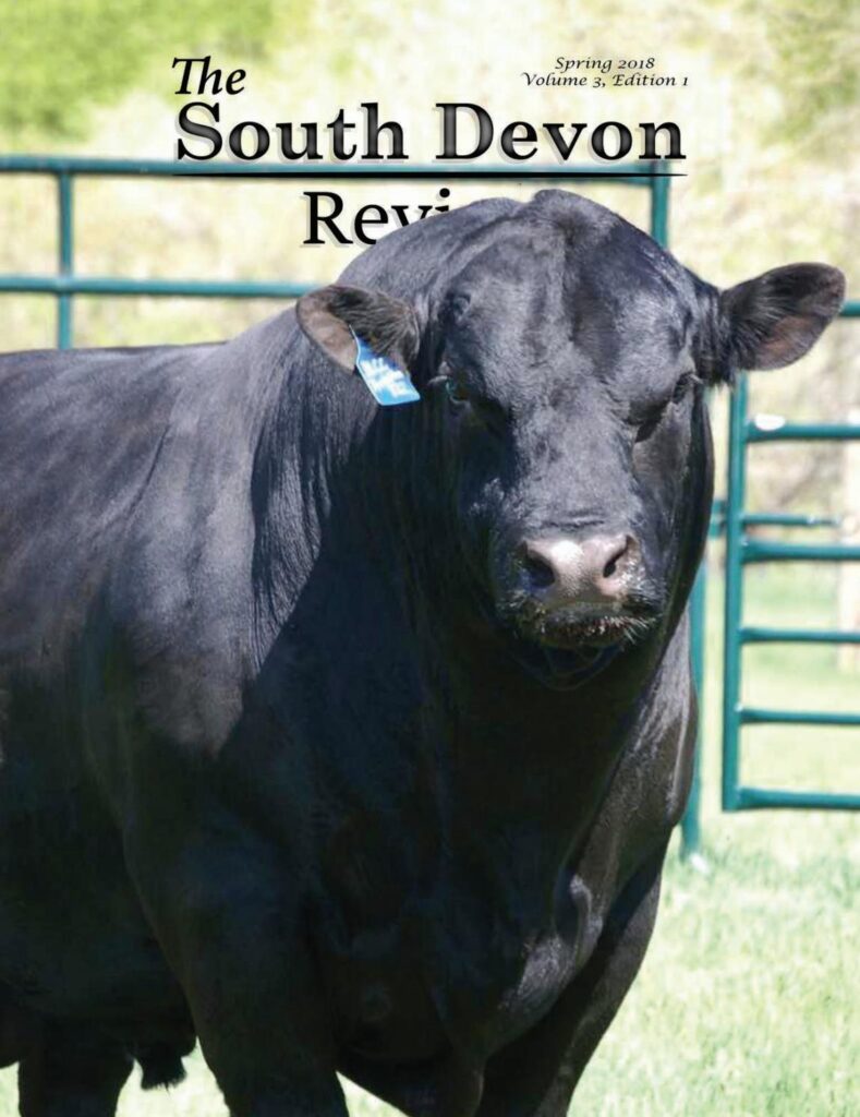 The South Devon Review - Spring 2018 Edition