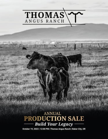 Thomas Angus - 2023 Baker Fall Sale