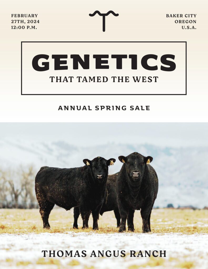 Thomas Angus Ranch Annual Spring Sale