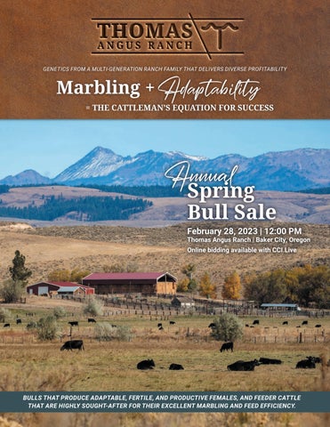 Thomas Angus Ranch - Oregon Sale