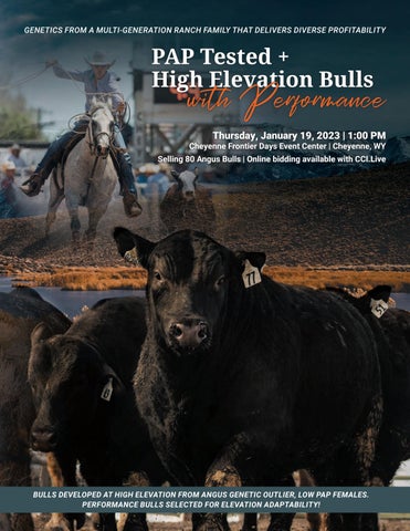 Thomas Angus Ranch - Wyoming Sale