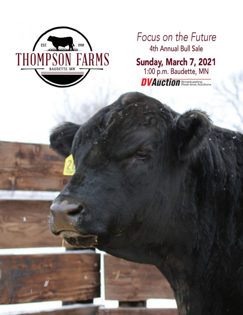 Thompson Angus Farms - 2021 Sale