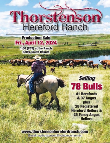 Thorstenson Hereford Ranch Production Sale