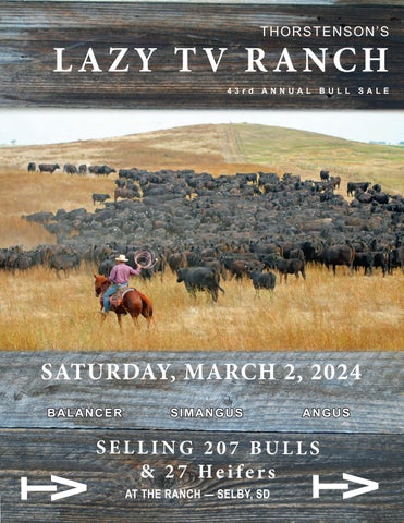 Thorstenson's Lazy TV Ranch Annual Bull Sale