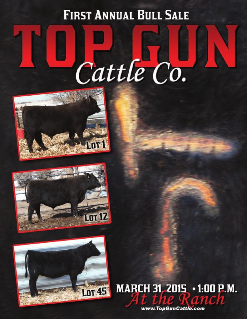 Top Gun Cattle Company - 1st Annual Bull Sale