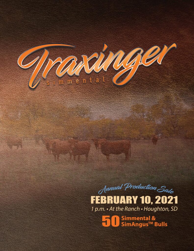 Traxinger Simmental - 2021 Bull Sale