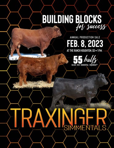 Traxinger Simmental - 2023 Spring Bull Sale