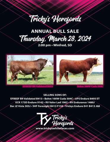 Tricky's Herefords Annual Bull Sale