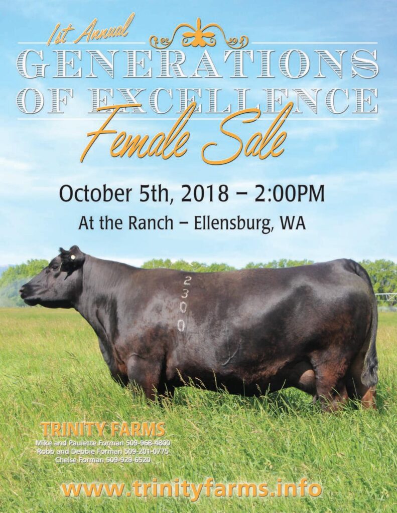 Trinity Farms - 2018 Fall Female Sale
