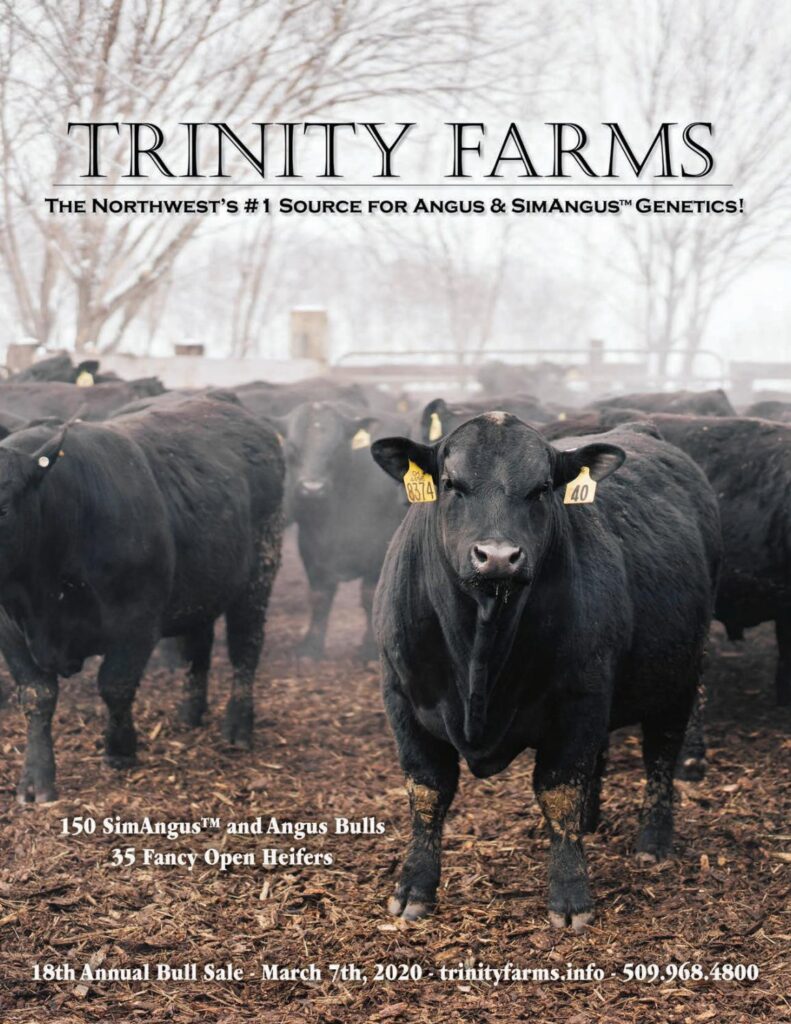 Trinity Farms - 2020 Bull Sale