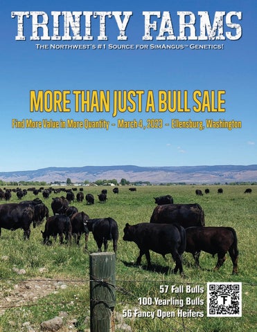 Trinity Farms - 2023 Spring Bull Sale