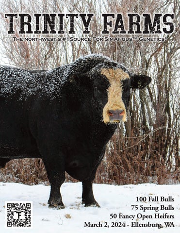 Trinity Farms Bulls & Open Heifers Sale