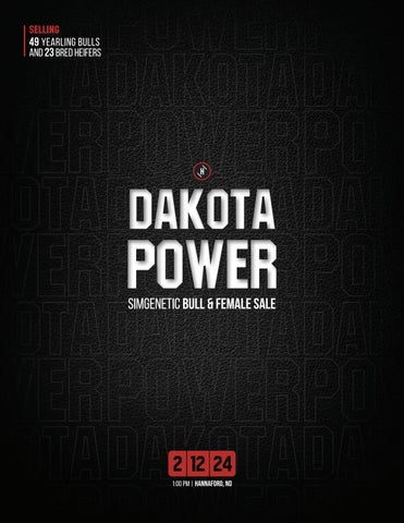 Triple H Dakota Power Simgenetic Bull & Female Sale