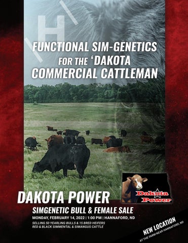Triple H Simmentals - 2022 Dakota Power Bull & Female Sale