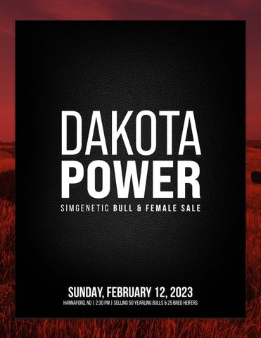 Triple H Simmentals - 2023 Dakota Power Bull & Female Sale