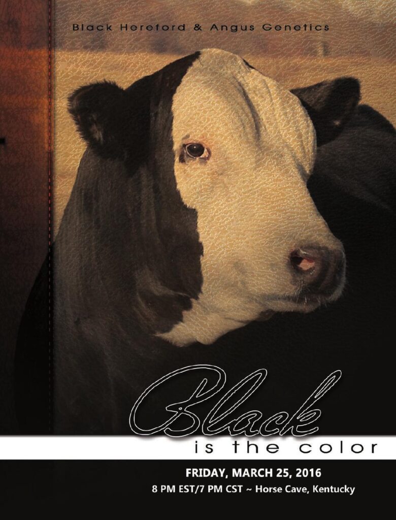 Triple T Farms - 2016 Black is the Color Sale