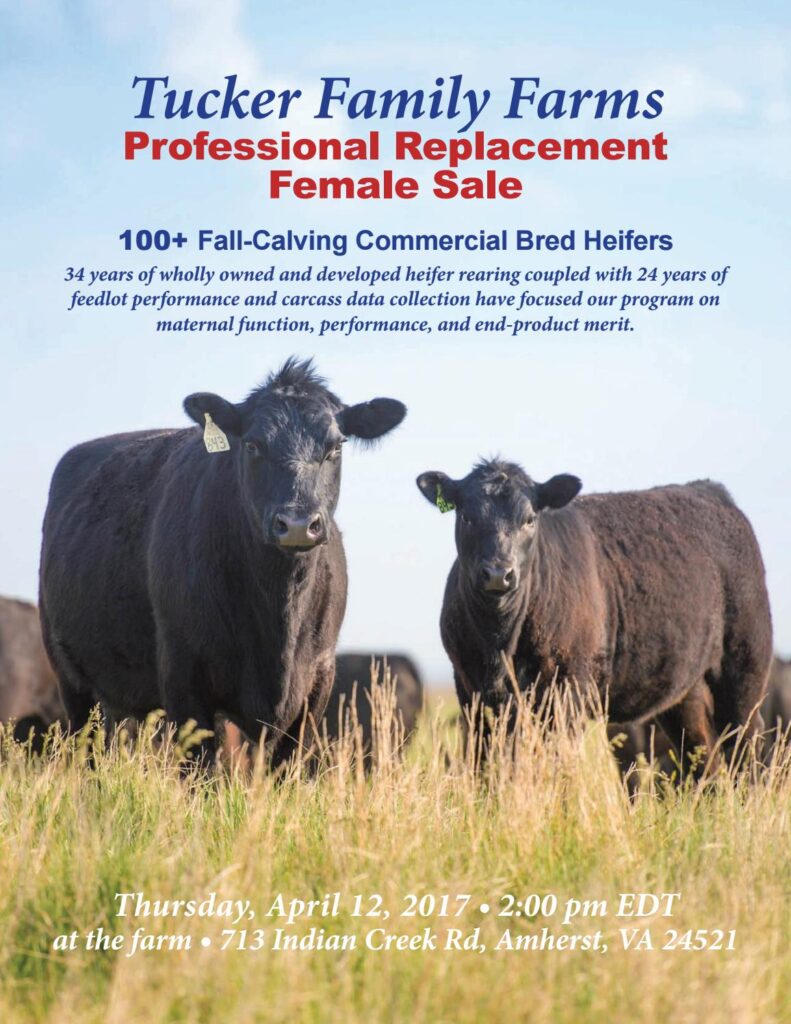 Tucker Family Farms - 2017 Professional Replacement Female Sale