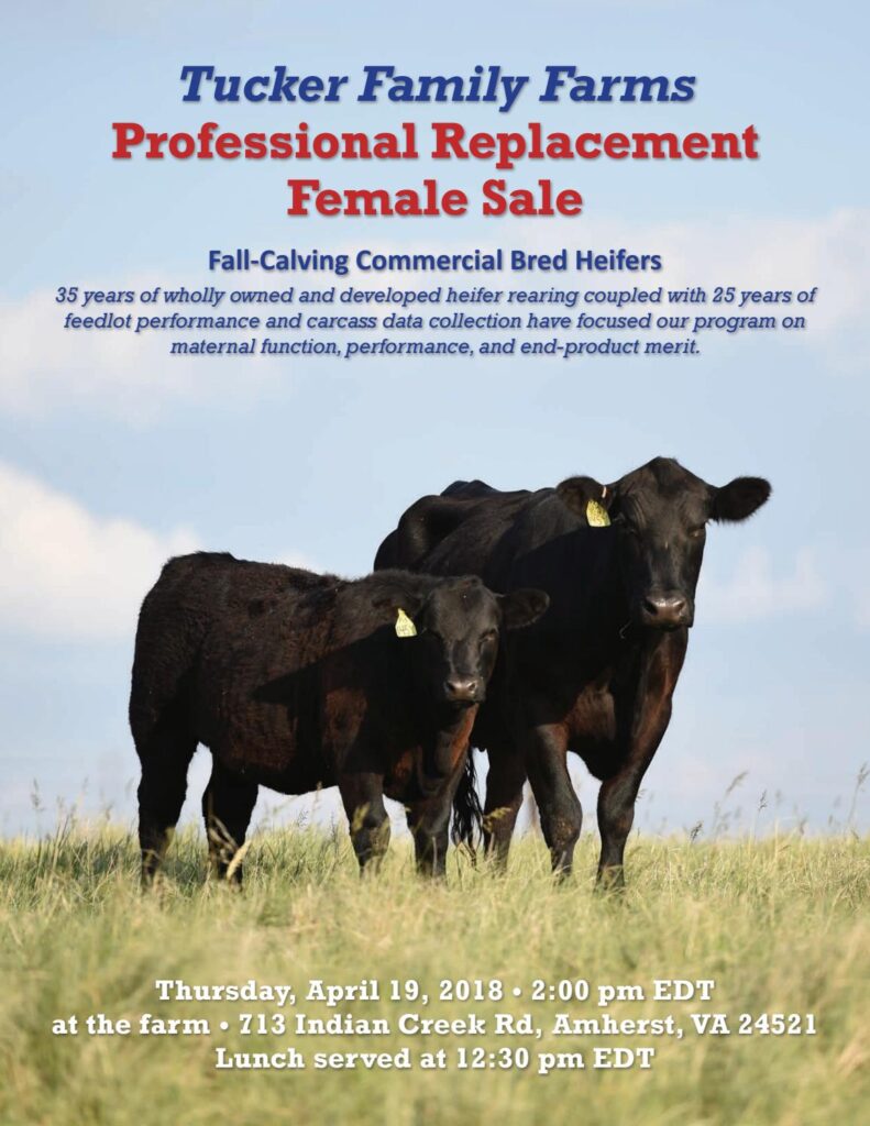 Tucker Family Farms - 2018 Replacement Heifer Sale