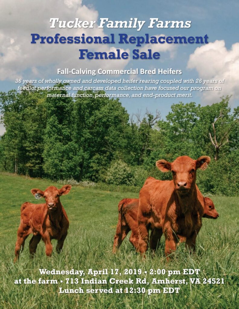 Tucker Family Farms - 2019 Replacement Heifer Sale