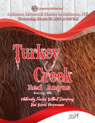 Turkey Creek Red Angus