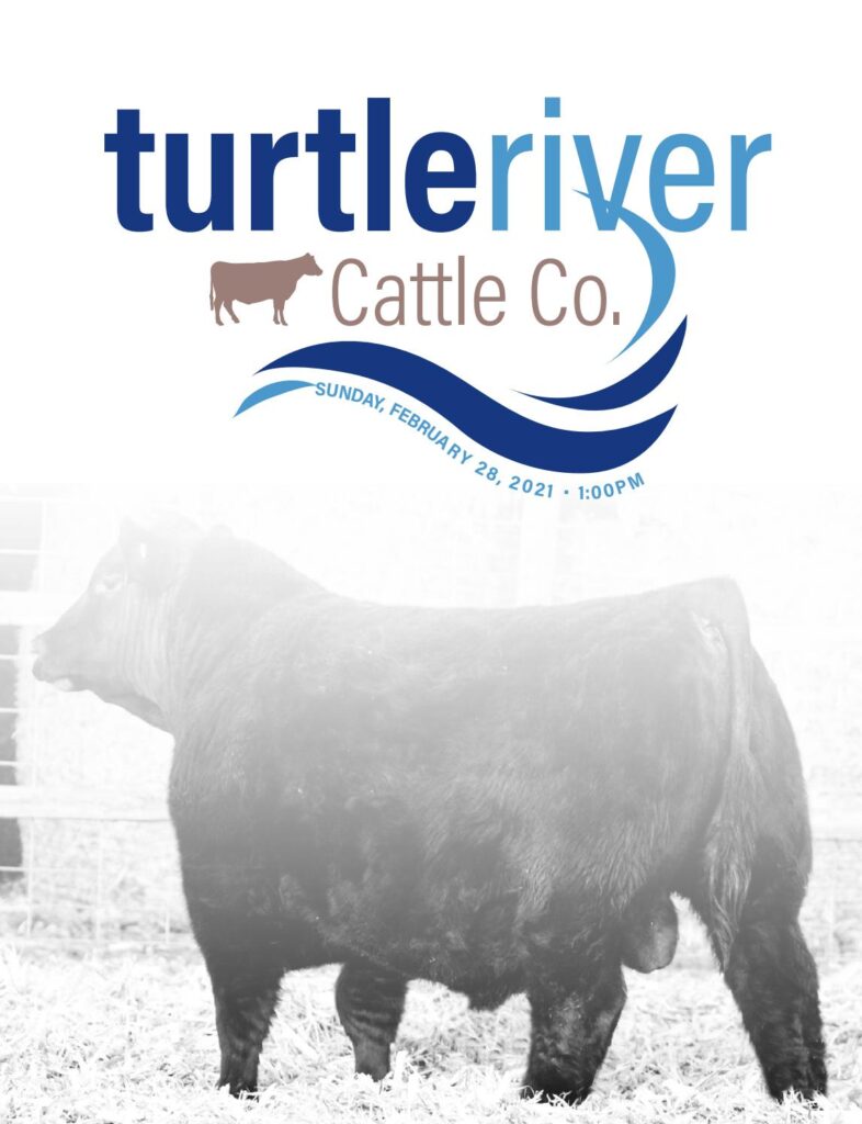 Turtle River Cattle Company 2021 Spring Sale