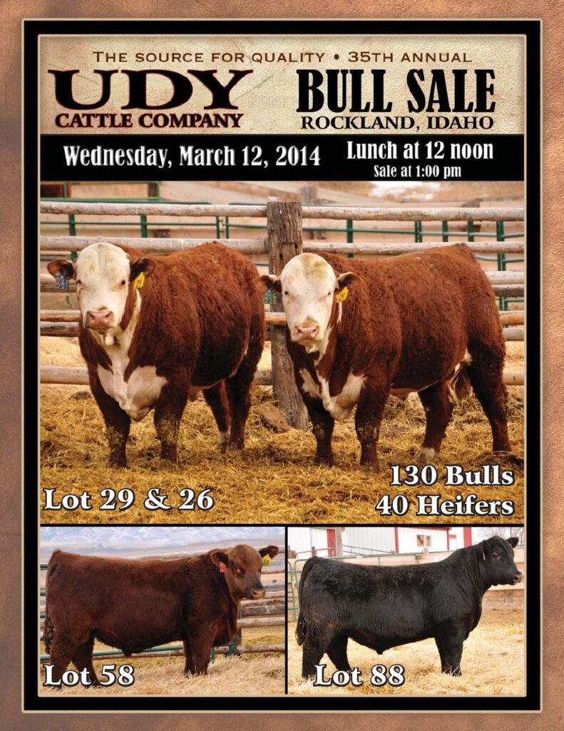 Udy Cattle Company - 35th Annual Bull Sale