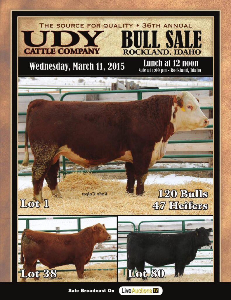 Udy Cattle Company - 36th Annual Bull Sale