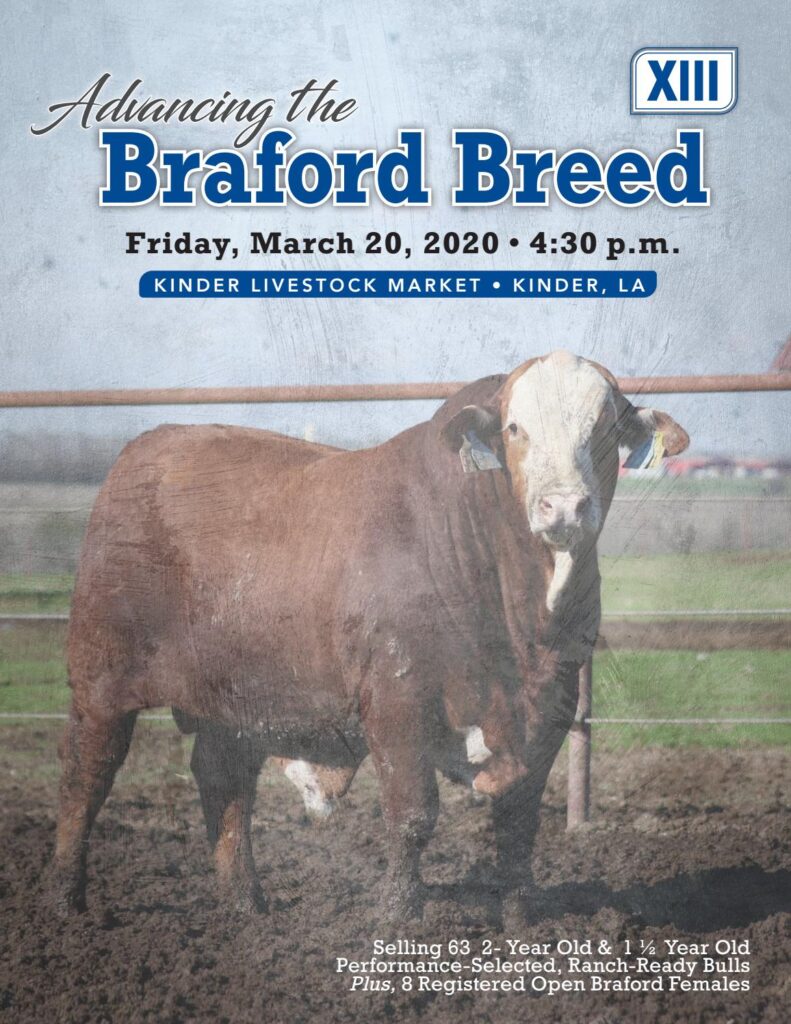 United Braford Breeders - 2020 Advancing the Breed Sale