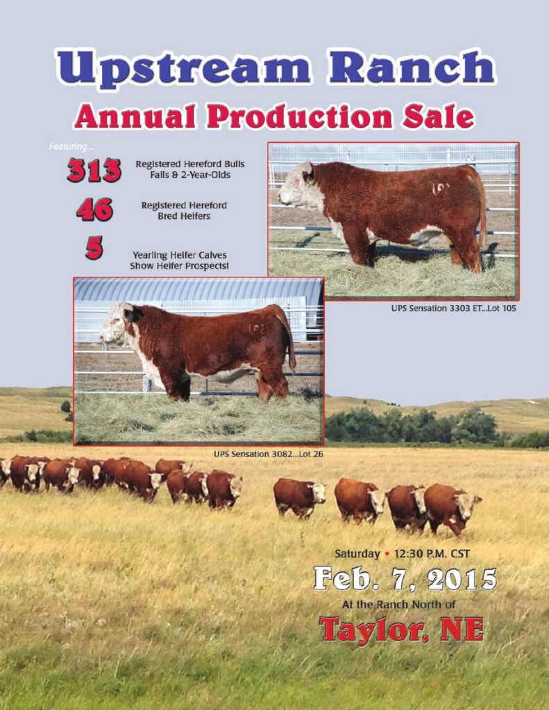 Upstream Ranch - 2015 Annual Production Sale