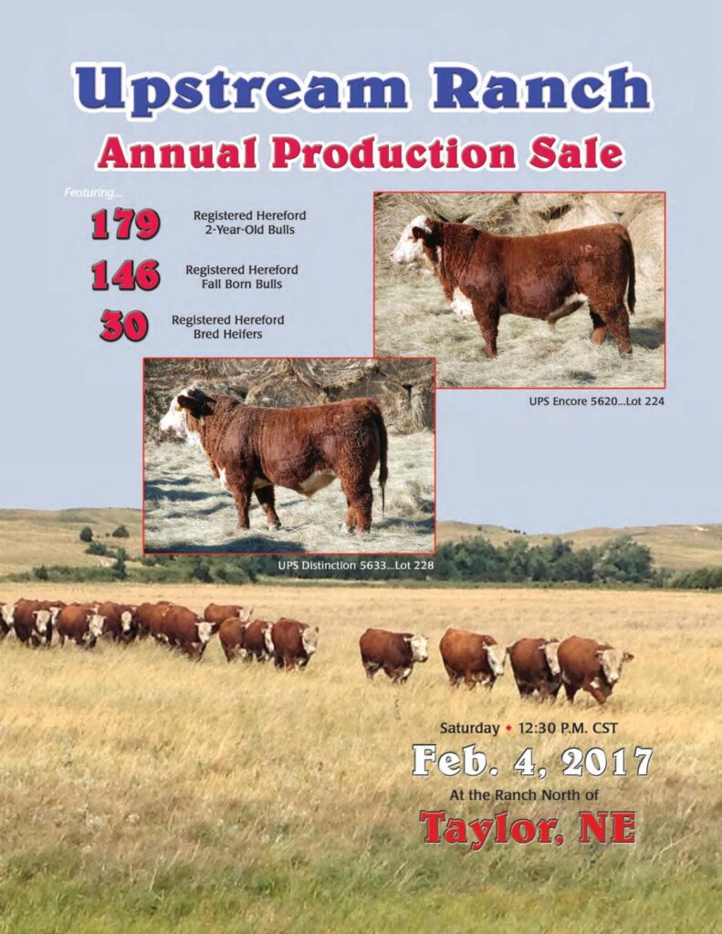 Upstream Ranch - 2017 Bull Sale